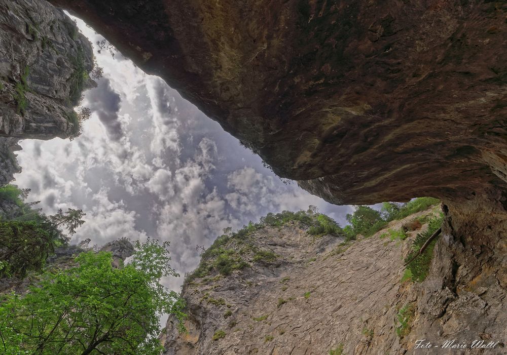 Blick in den Himmel - in der Geissloch Klamm