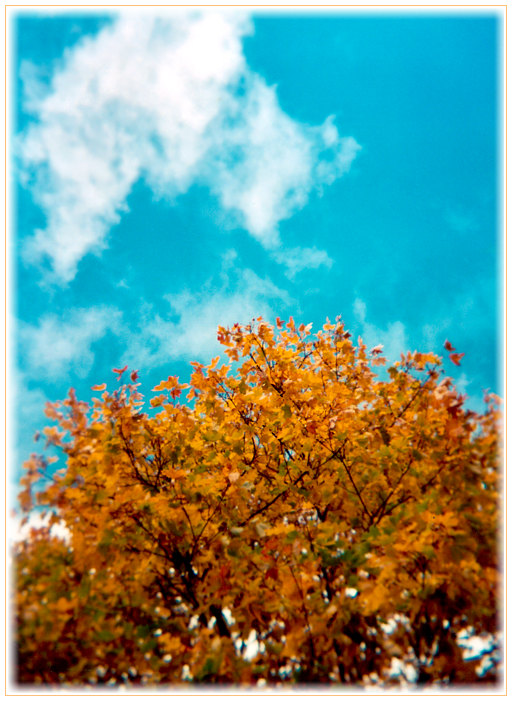 Blick in den Himmel und anschliessend steifen Nacken, aber schöner Farbkontrast