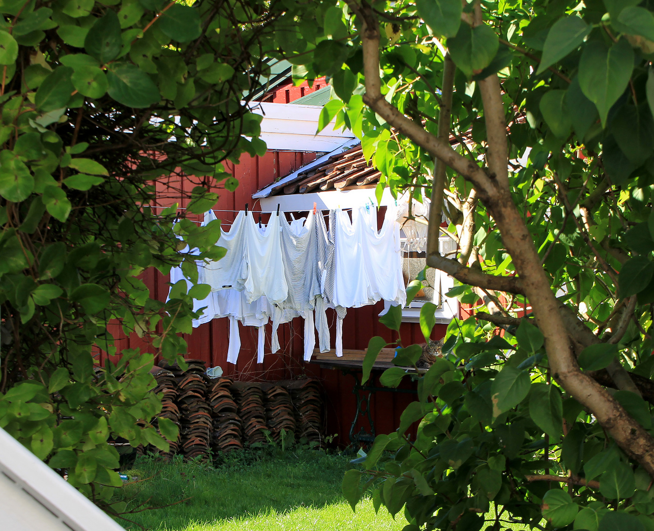 Blick in den Hinterhof mit Katze