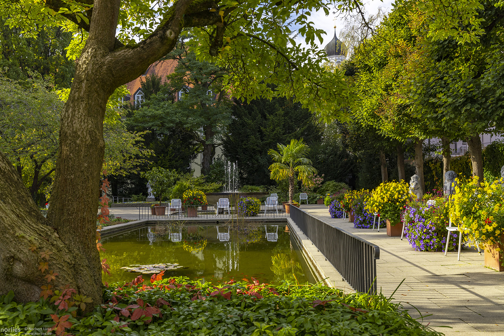 Blick in den Hofgarten