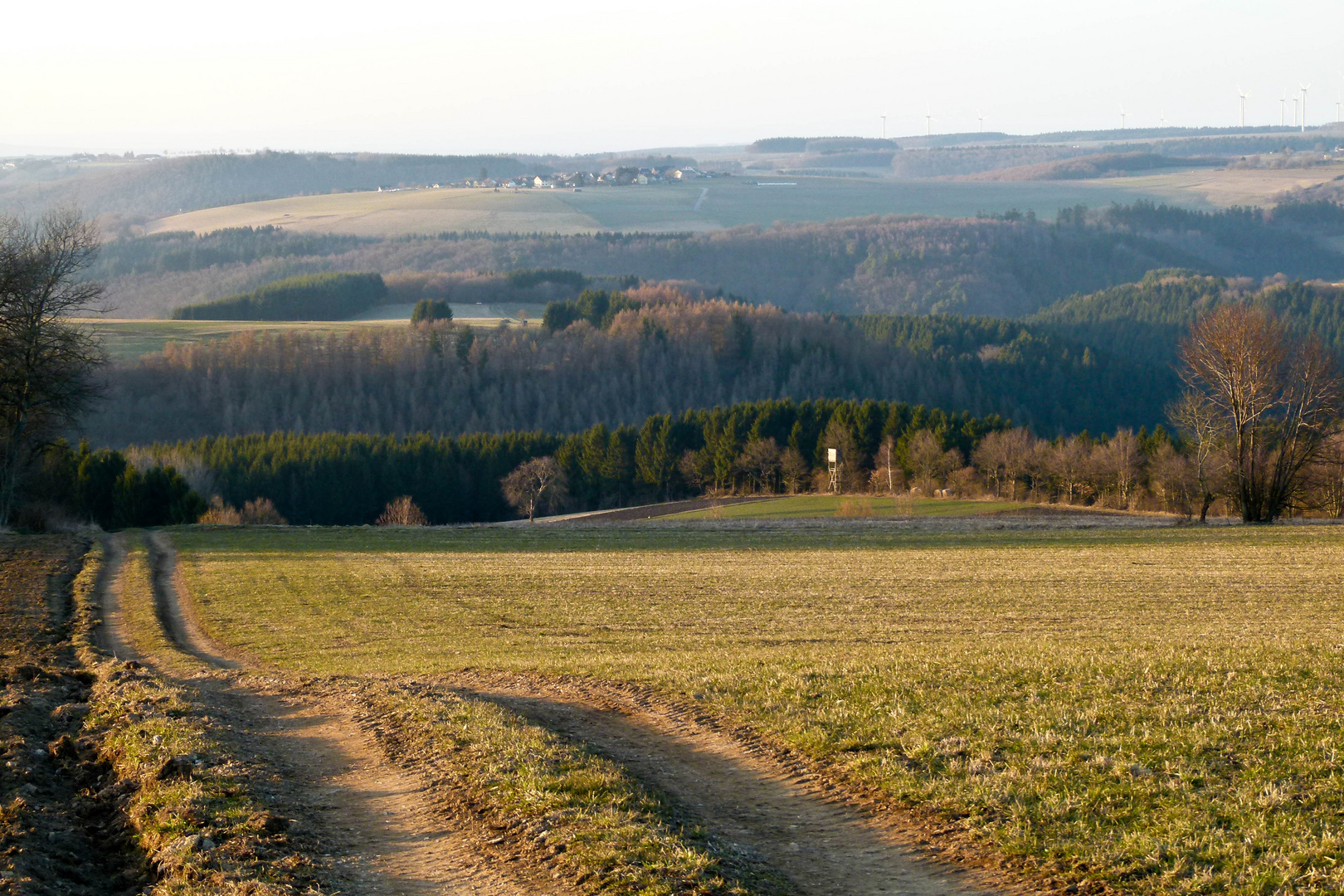 Blick in den Hunsrück