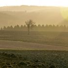 Blick in den Hunsrück