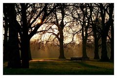 Blick in den Hyde Park