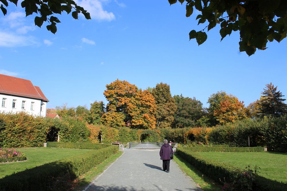 Blick in den Innenhof des Wandelganges und auf diese schönen Herbstbäume