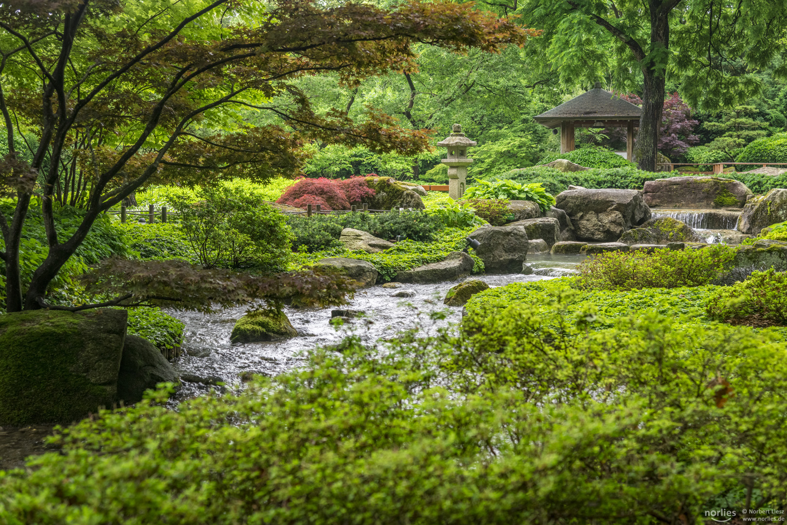 Blick in den Japangarten