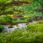 Blick in den Japangarten