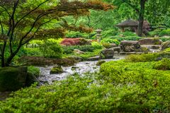 Blick in den Japangarten