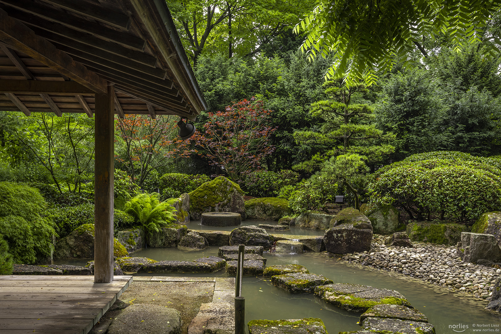 Blick in den Japangarten