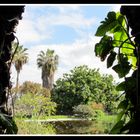 Blick in den "Jardin Aquatico" in Puerto de la Cruz