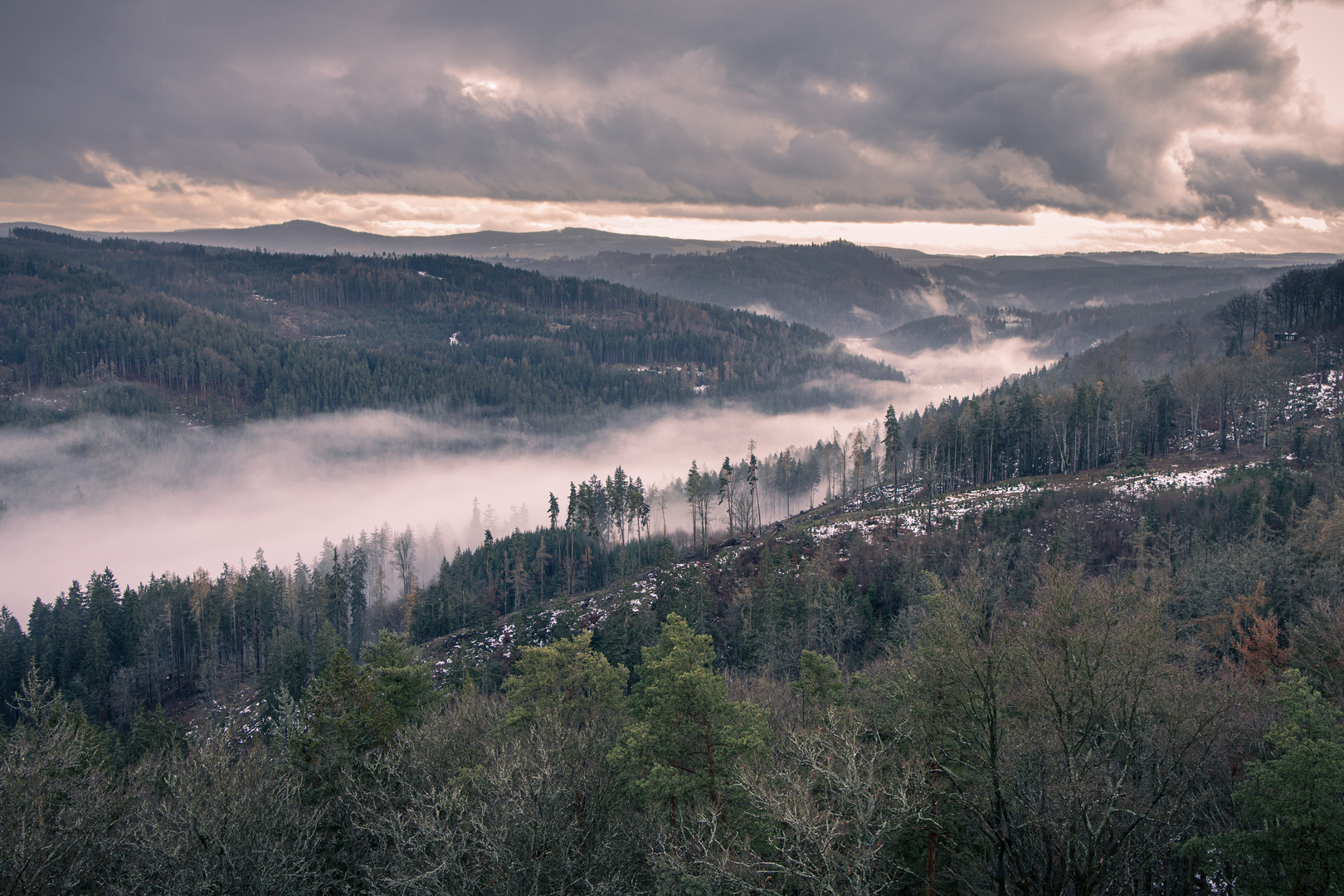 Blick in den Kaiserwald