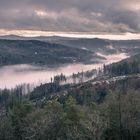 Blick in den Kaiserwald