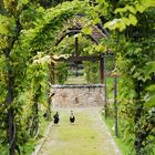 Blick in den Klostergarten Stühlingen