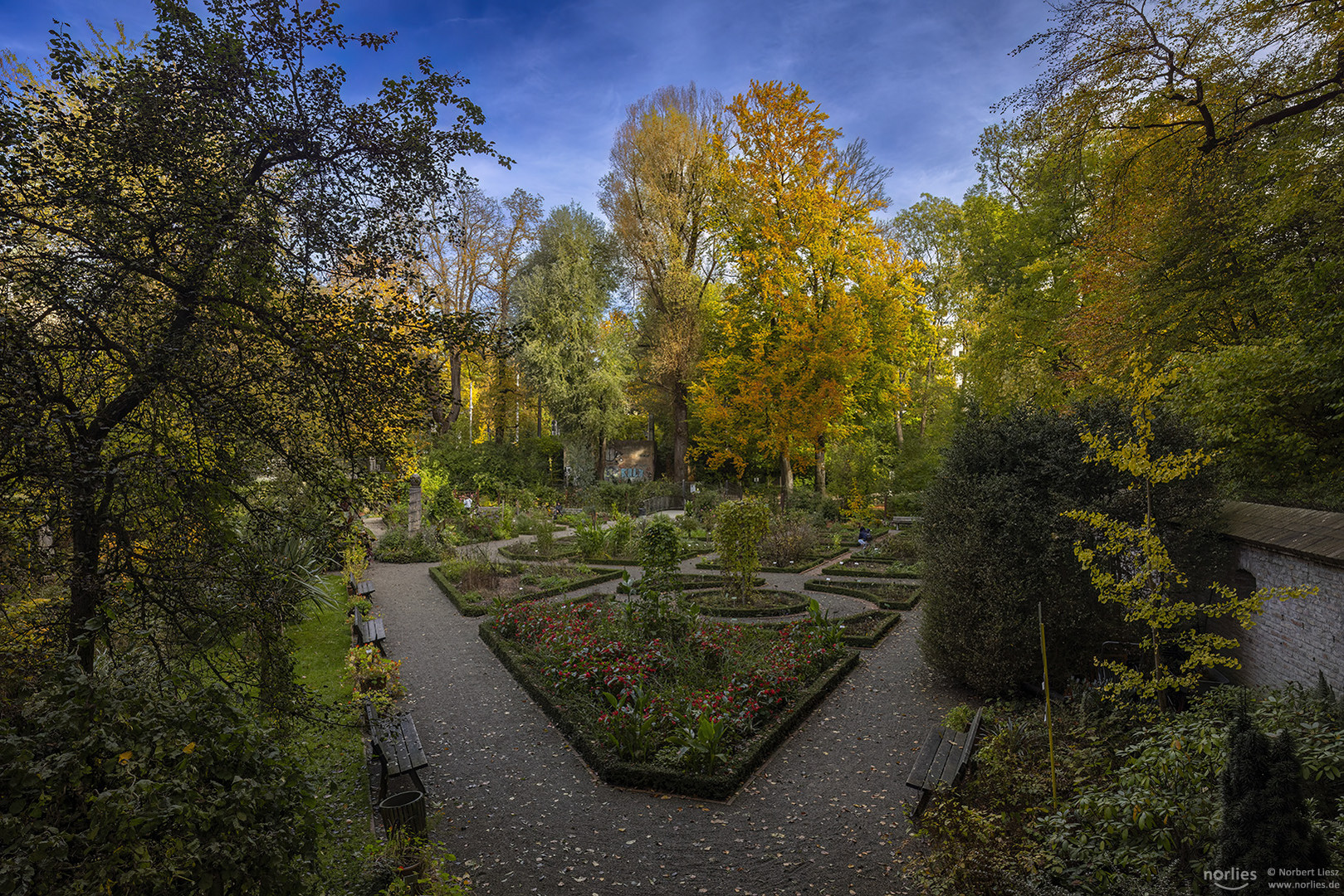 Blick in den Kräutergarten