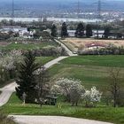 Blick in den Kraichgau