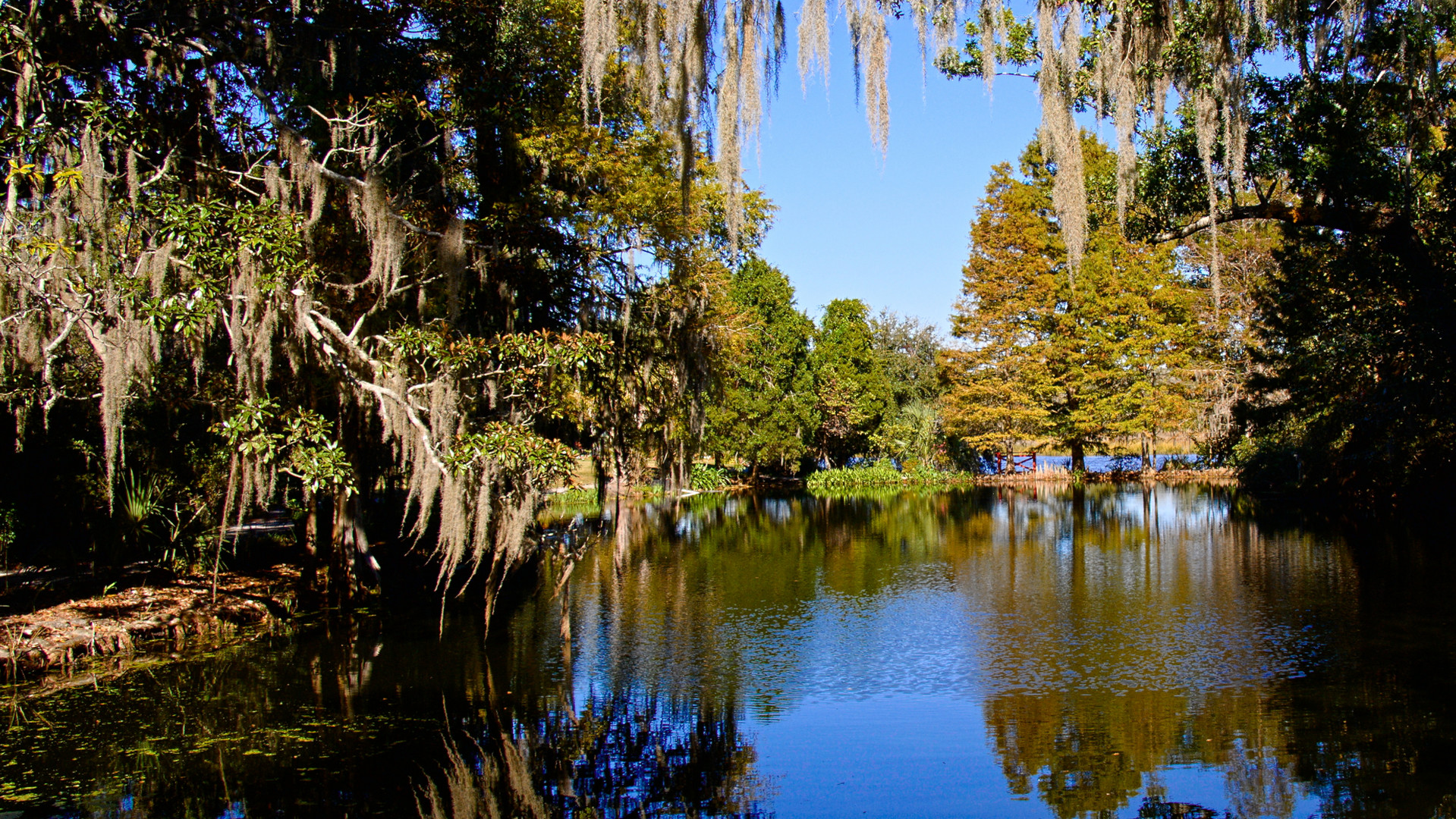 Blick in den Magnolia Garden in Charleston, South Carolina