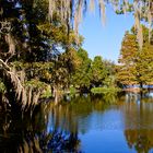 Blick in den Magnolia Garden in Charleston, South Carolina