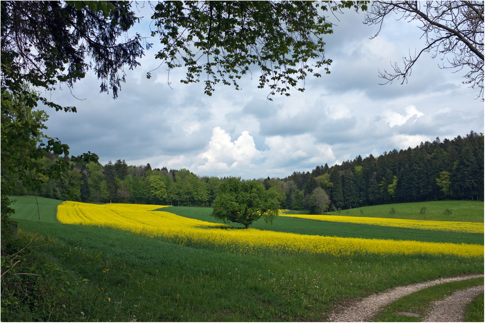 Blick in den Mai.