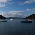 Blick in den Marlborough Sound vom Hafen in Picton