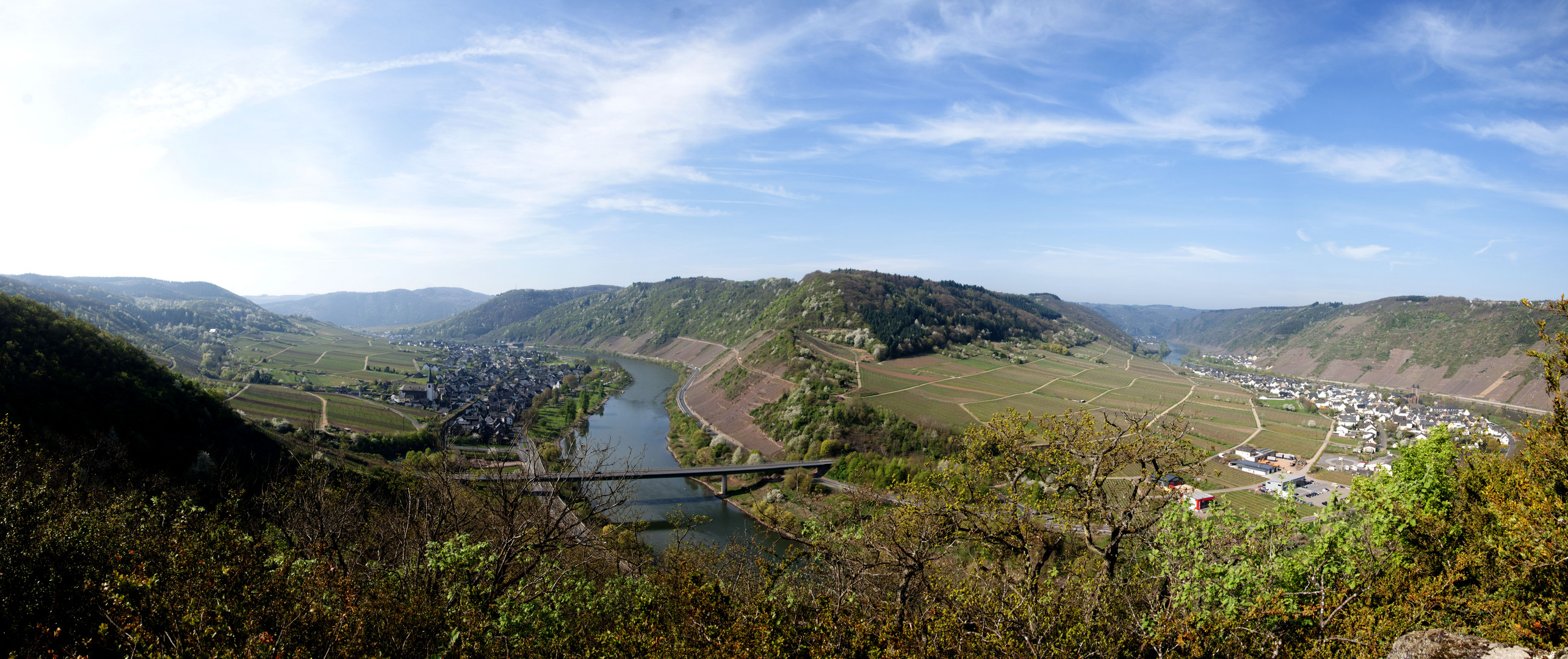 Blick in den Moselkrampen bei Bruttig-Fankel