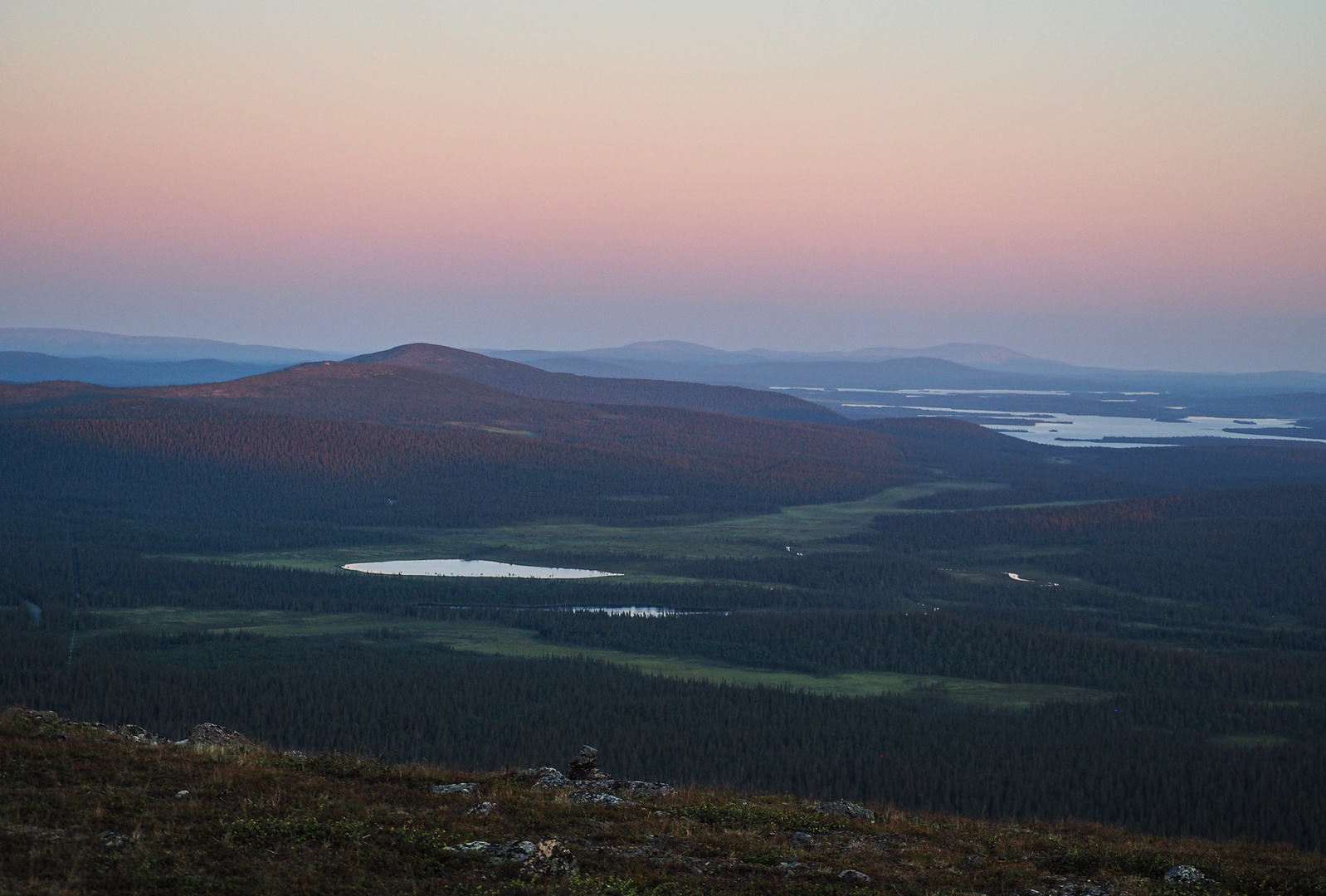 Blick in den nächtlichen Nationalpark