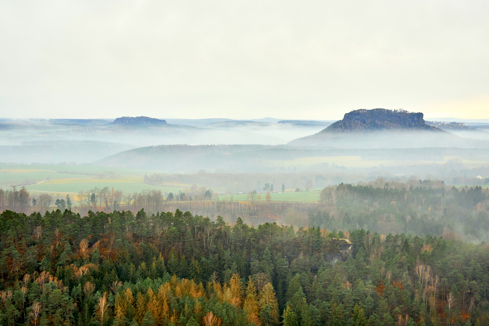 Blick in den Nebel