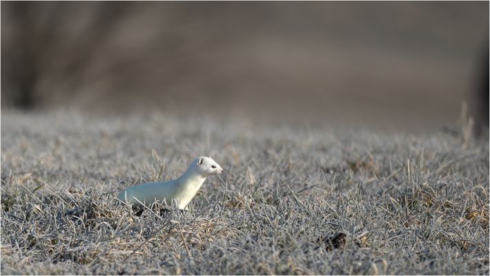 Blick in den neuen Tag.....