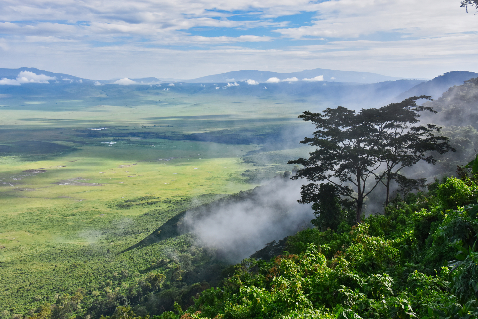 Blick in den Ngorongoro Krater