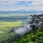 Blick in den Ngorongoro Krater