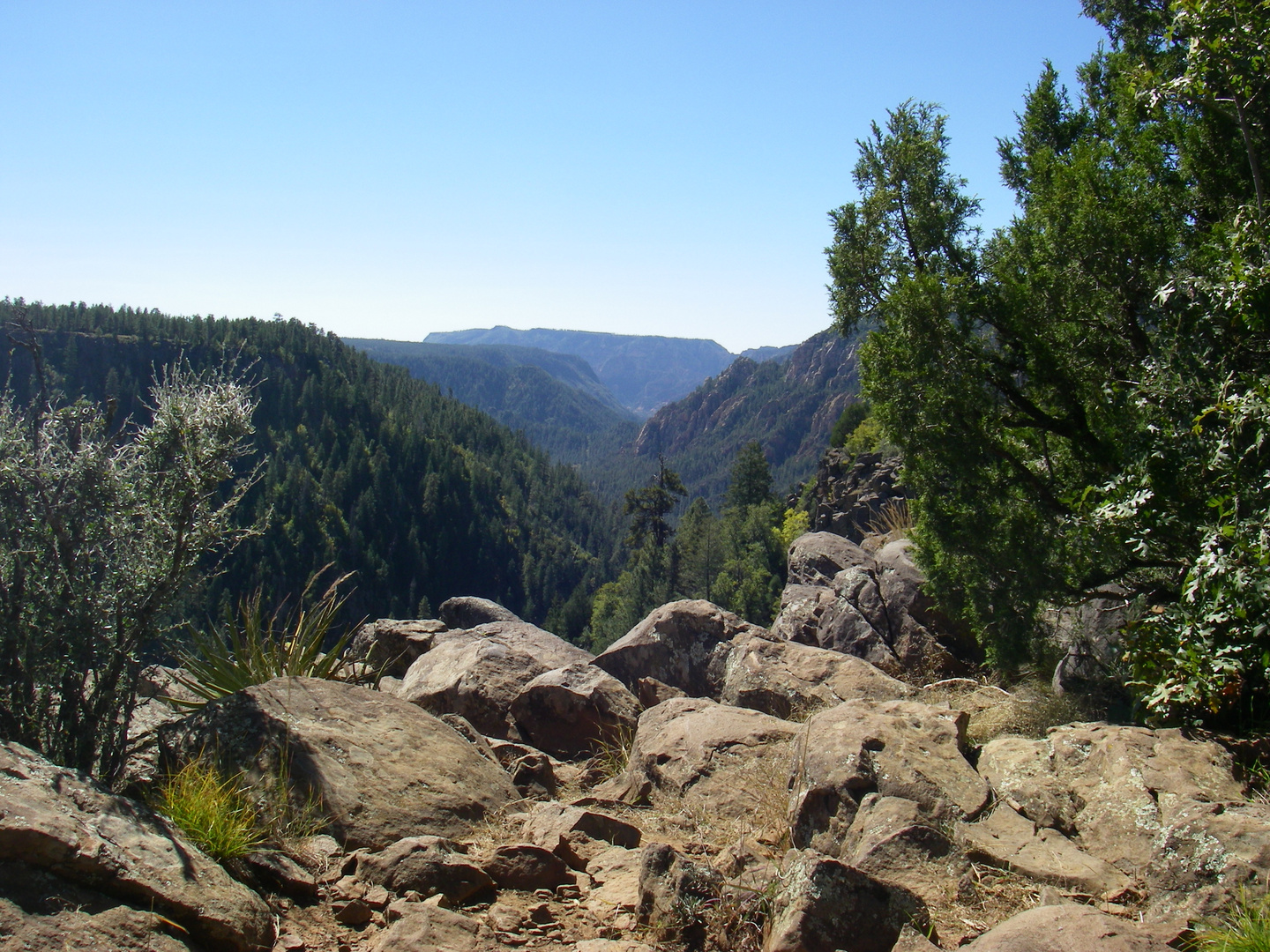 Blick in den Oak Creek Canyon