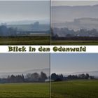 Blick in den Odenwald