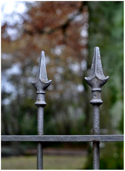 Blick in den Pfarrhausgarten