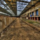 Blick in den Rangierbahnhof Stockmeyerstrasse in Hamburg 2