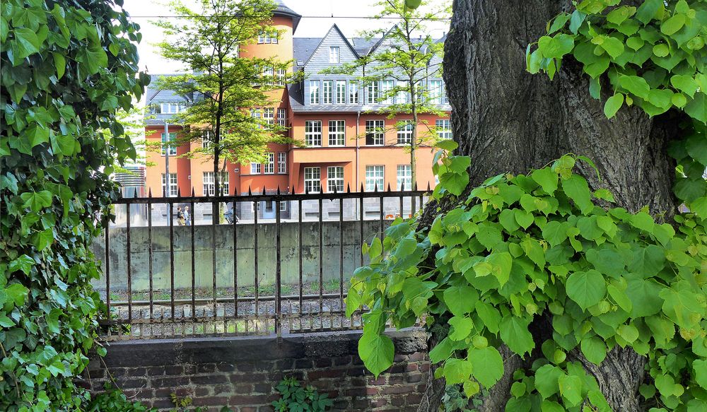 Blick in den Rheinauhafen