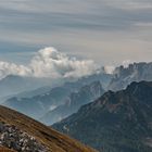 Blick in den Rosengarten