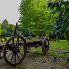 Blick in den Schlosspark Veltheimsburg-Bebertal