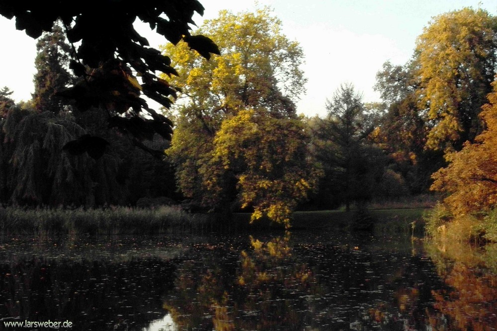 Blick in den Schloßpark Wiesenburg