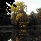 Blick in den Schloßpark Wiesenburg