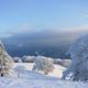 Blick in den Schwarzwald