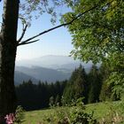 Blick in den Schwarzwald