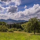 Blick in den Schwarzwald