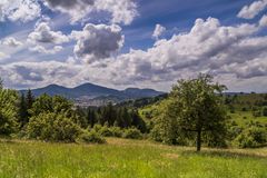 Blick in den Schwarzwald