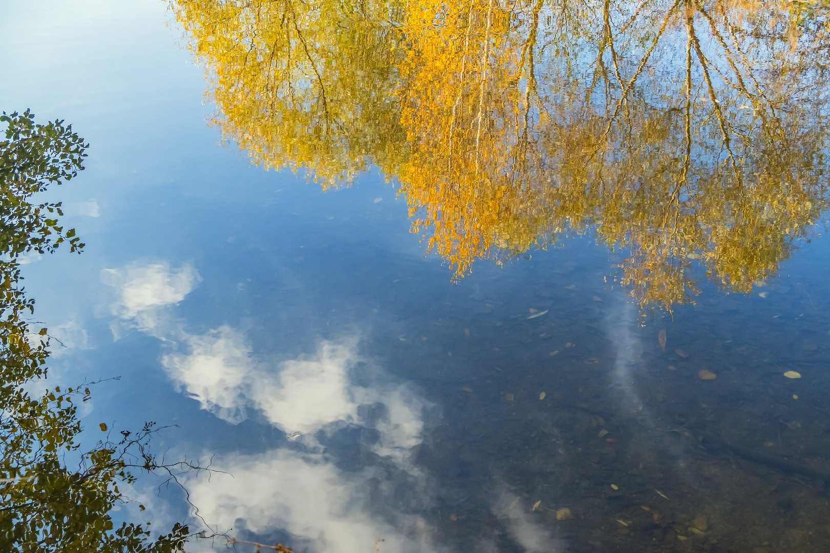 Blick in den See