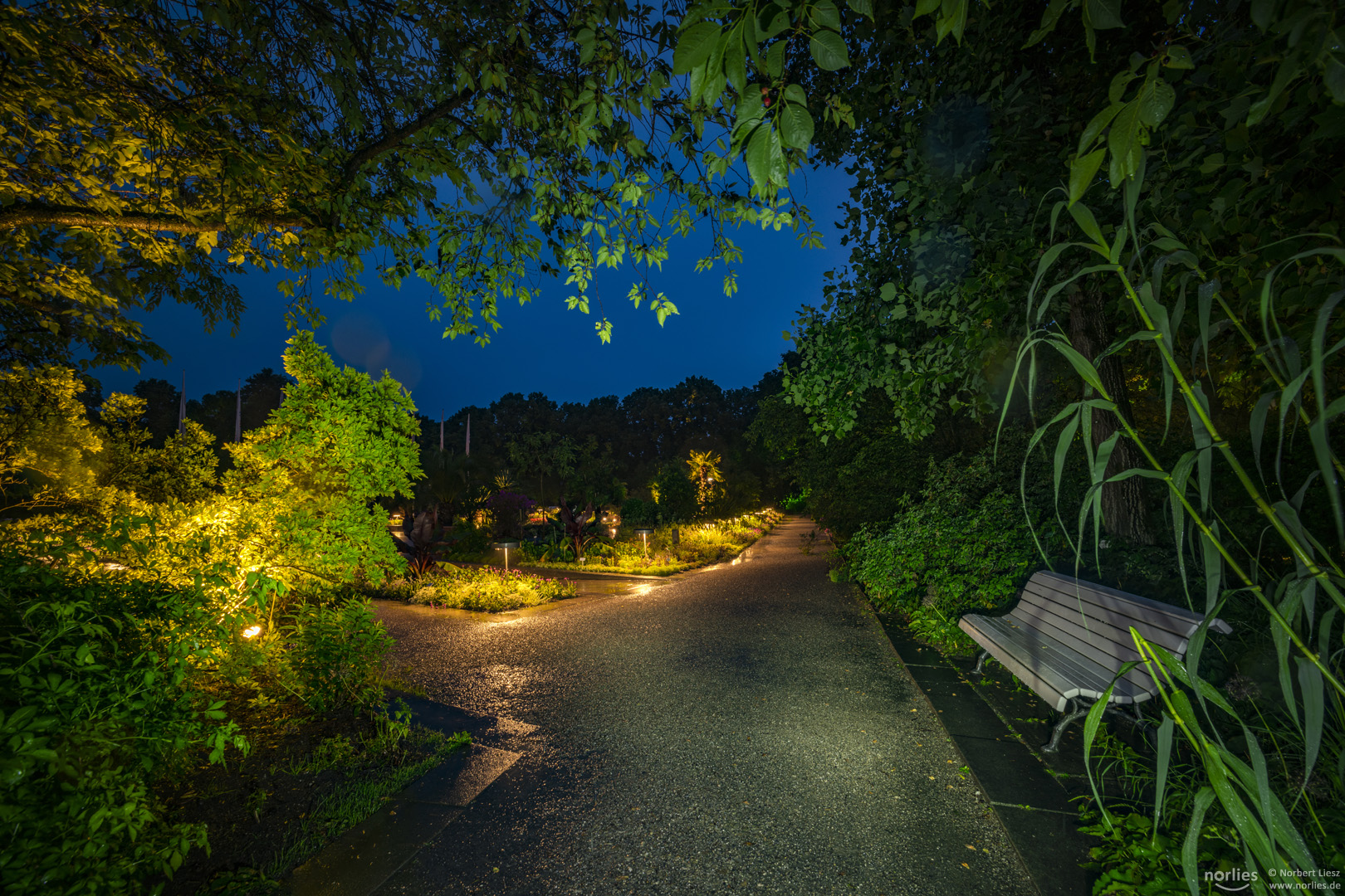 Blick in den Senkgarten