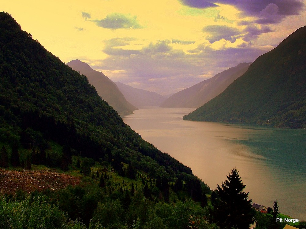 Blick in den Sognefjord