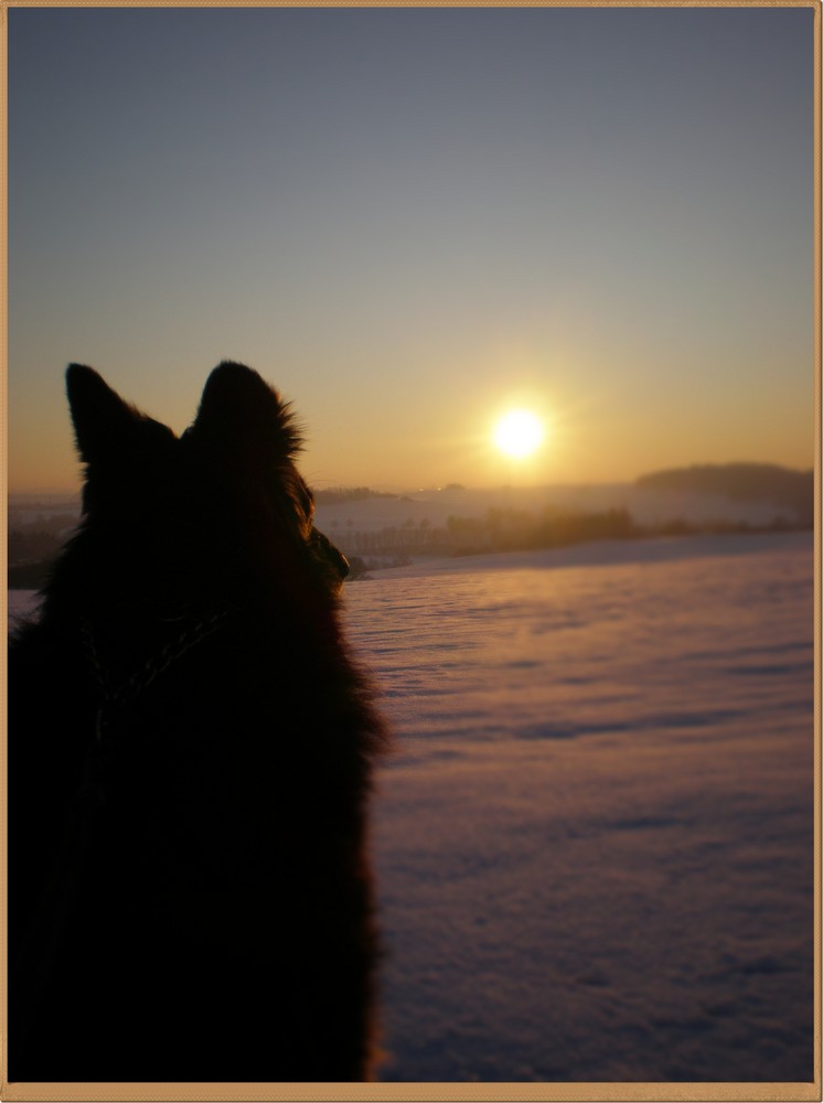 Blick in den Sonnenuntergang