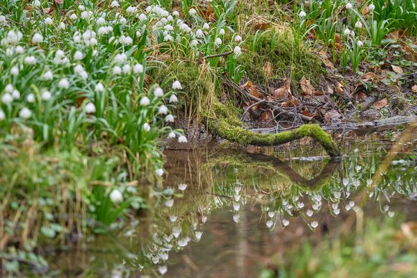 Blick in den Spiegel
