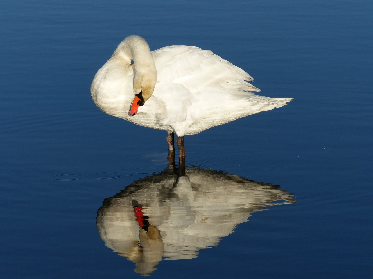 Blick in den Spiegel