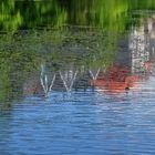 Blick in den Stausee