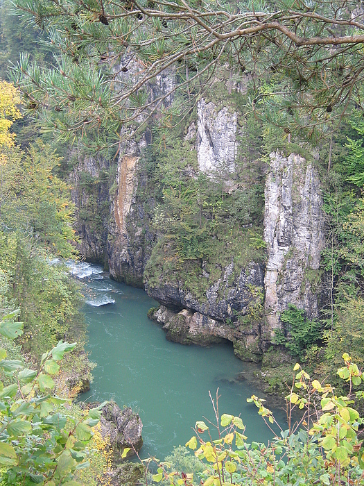 Blick in den Steyrdurchbruch