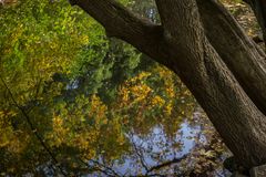 Blick in den Teich - Georgengarten/Hannover